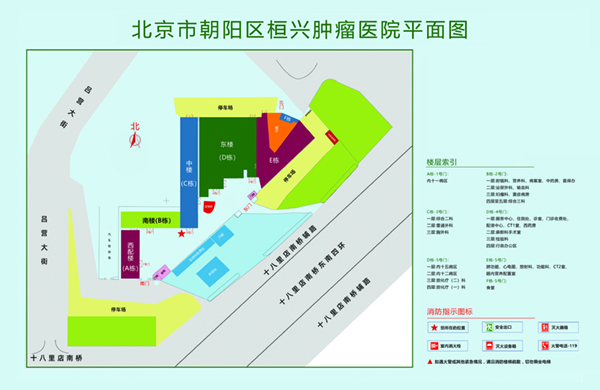 成人透b视免费北京市朝阳区桓兴肿瘤医院平面图